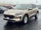 2021 Ford Escape SE AWD