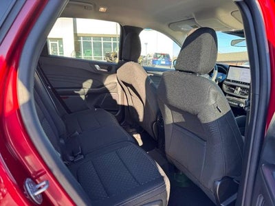 2023 Ford Escape Active AWD